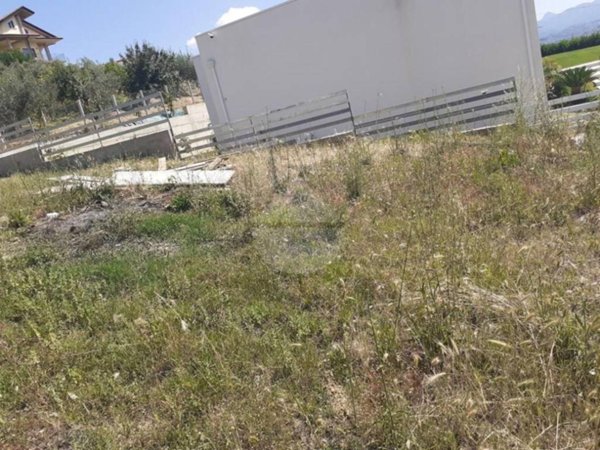 terreno agricolo in vendita a Luzzi