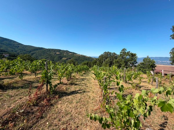 casa indipendente in vendita a Luzzi in zona Cavoni