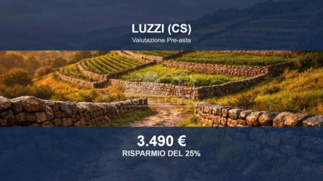 terreno agricolo in vendita a Luzzi
