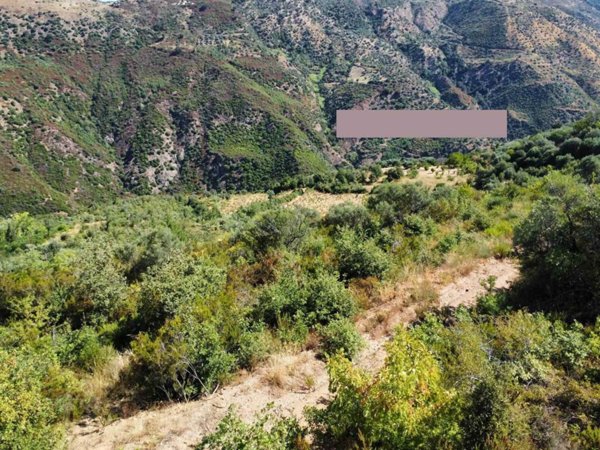 terreno agricolo in vendita a Luzzi