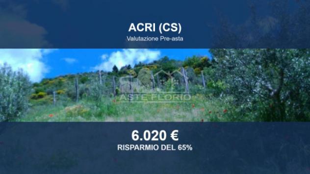 terreno agricolo in vendita a Luzzi