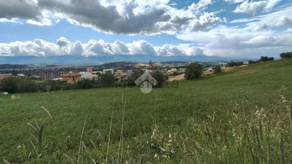 terreno agricolo in vendita a Luzzi in zona Cavoni