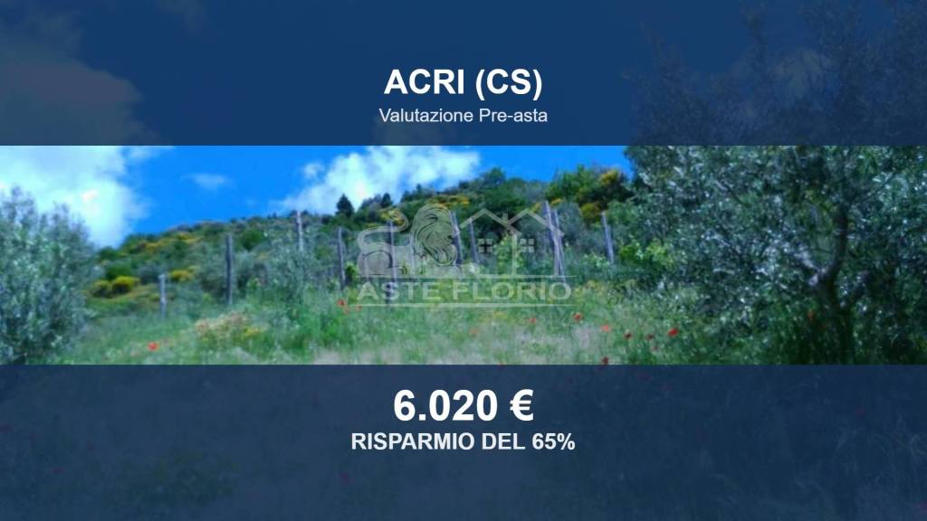terreno in vendita a Luzzi in zona Cavoni