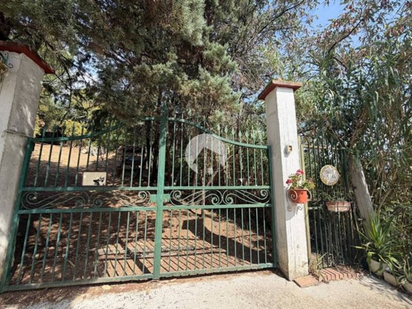 terreno agricolo in vendita a Luzzi in zona Cavoni