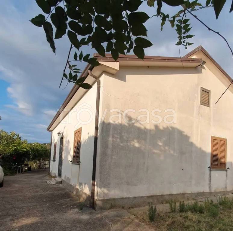 immagine annuncio 0 di 6