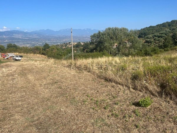 terreno agricolo in vendita a Luzzi in zona Cavoni