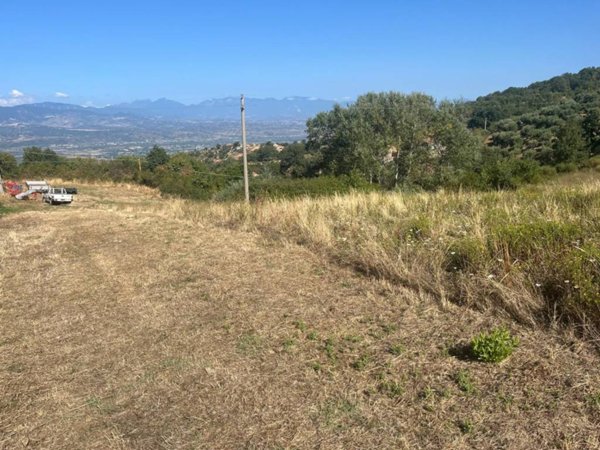 terreno agricolo in vendita a Luzzi in zona Cavoni