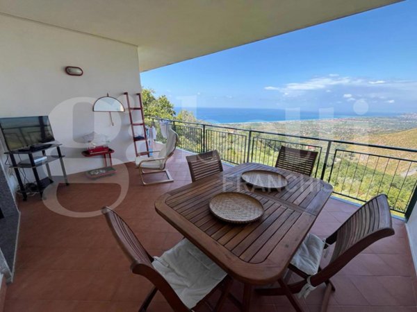 immagine annuncio 0 di 14