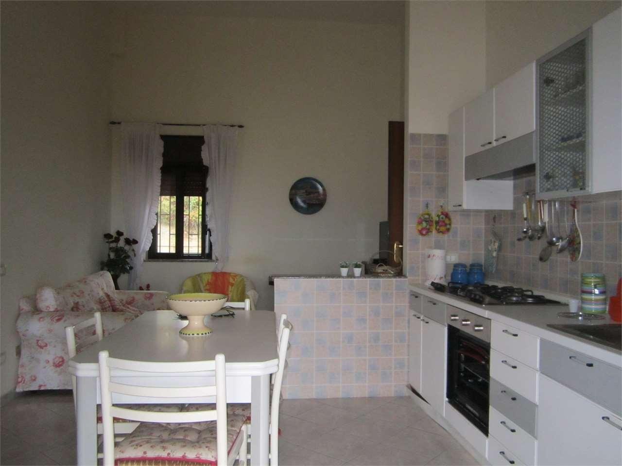 appartamento in vendita a Maierà