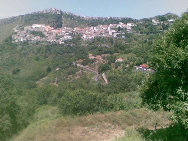 casa indipendente in vendita a Maierà