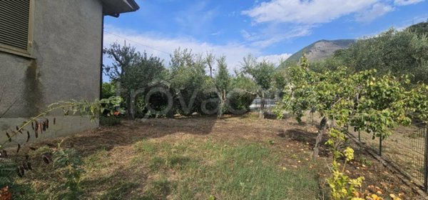casa indipendente in vendita a Maierà