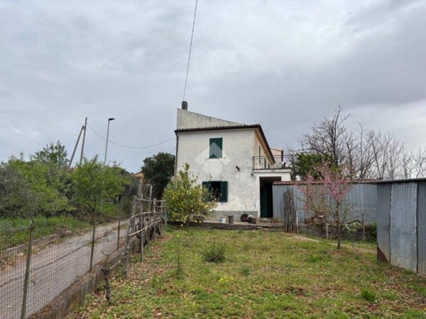 casa indipendente in vendita a Maierà