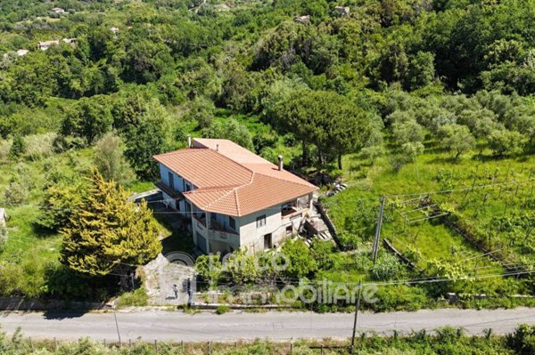 casa indipendente in vendita a Maierà