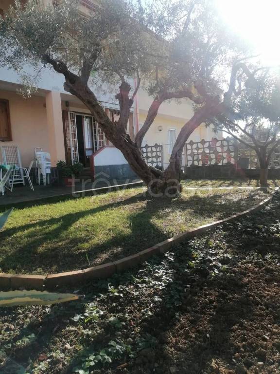 casa indipendente in vendita a Maierà