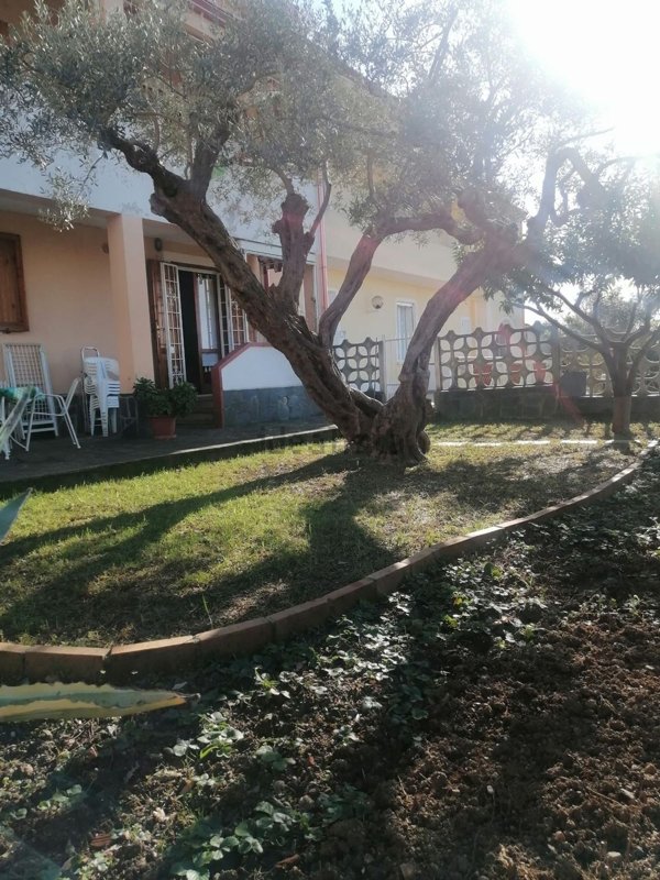 casa indipendente in vendita a Maierà