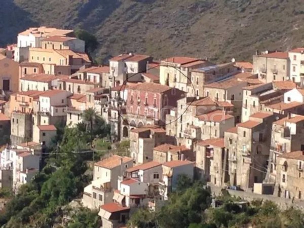 appartamento in vendita a Maierà