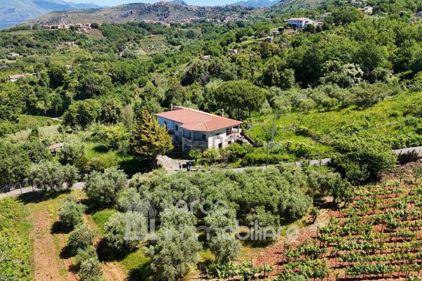 casa indipendente in vendita a Maierà