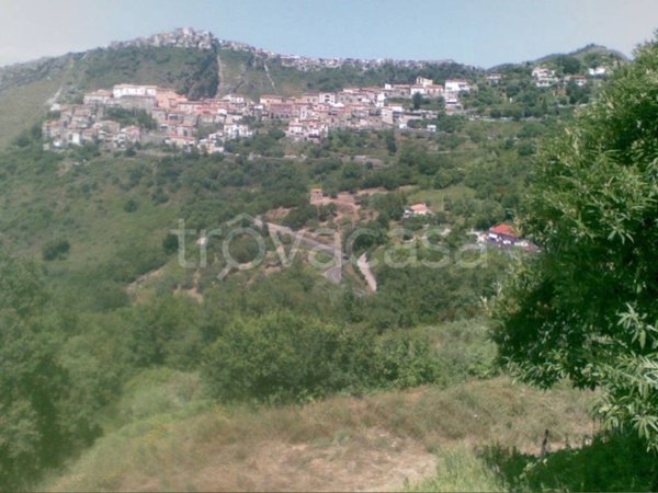 casa indipendente in vendita a Maierà