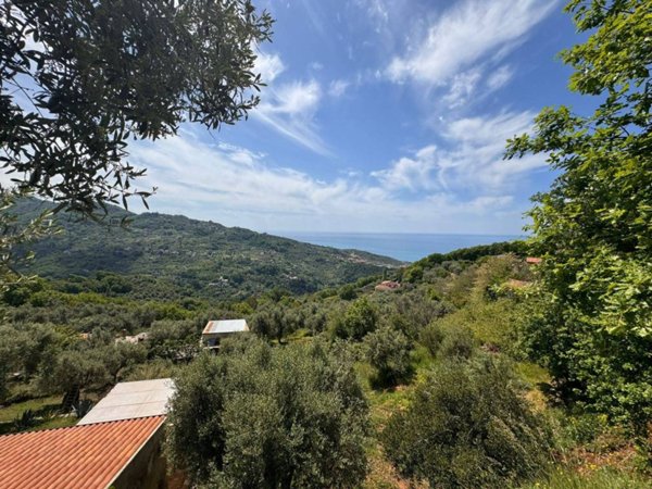terreno agricolo in vendita a Maierà