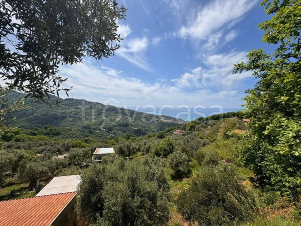 terreno agricolo in vendita a Maierà