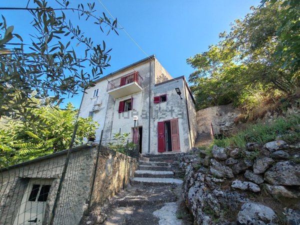 casa indipendente in vendita a Maierà