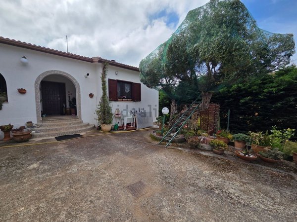 casa indipendente in vendita a Maierà