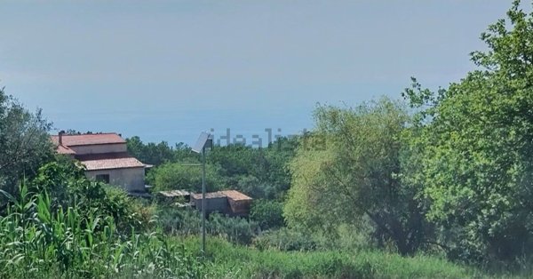 casa indipendente in vendita a Maierà
