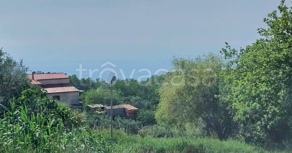 casa indipendente in vendita a Maierà