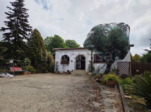 casa indipendente in vendita a Maierà