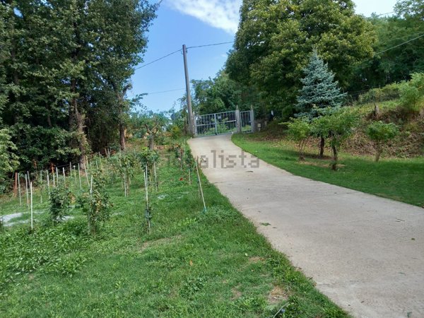 casa indipendente in vendita a Malito