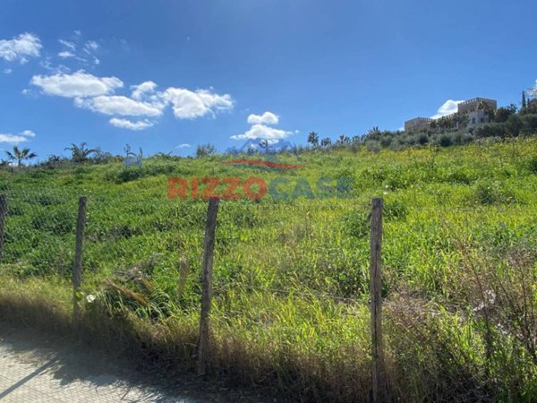 terreno agricolo in vendita a Mandatoriccio