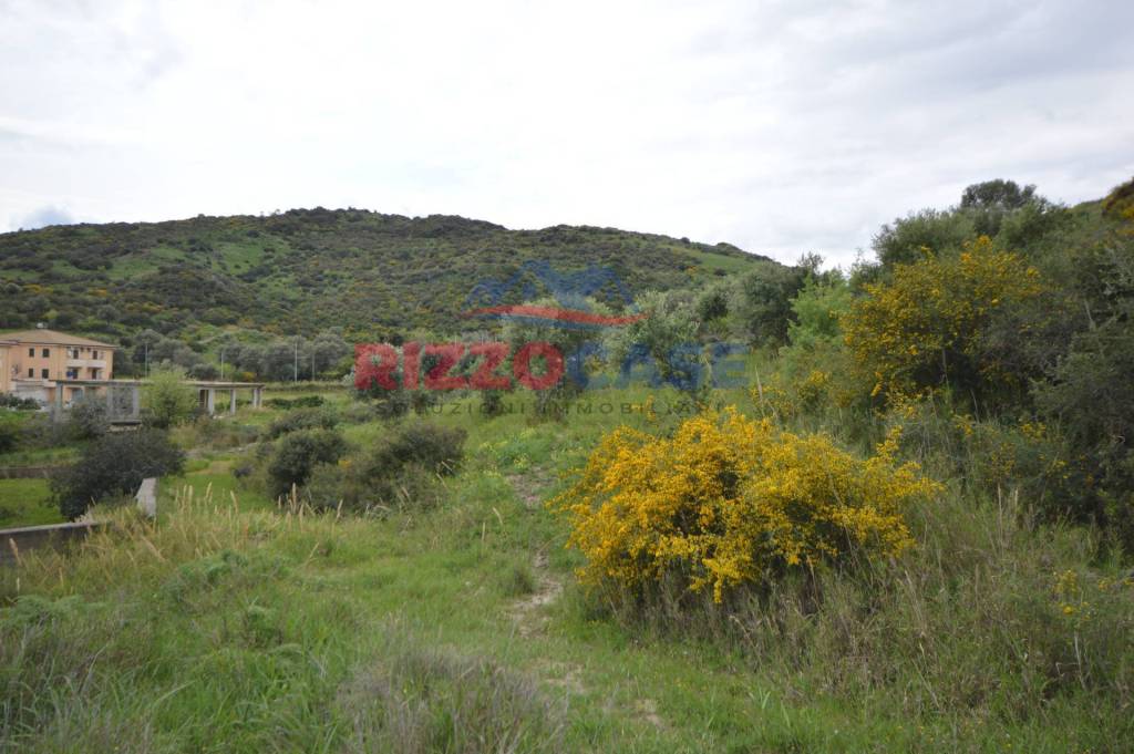 terreno agricolo in vendita a Mandatoriccio