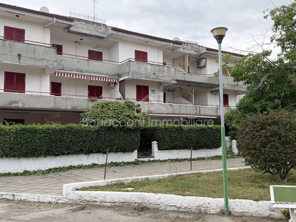 appartamento in vendita a Mandatoriccio