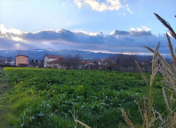 terreno agricolo in vendita a Mangone