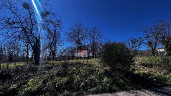 terreno agricolo in vendita a Mangone