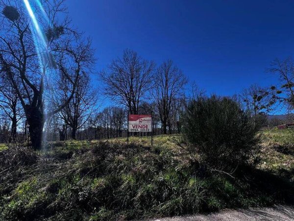 terreno in vendita a Mangone