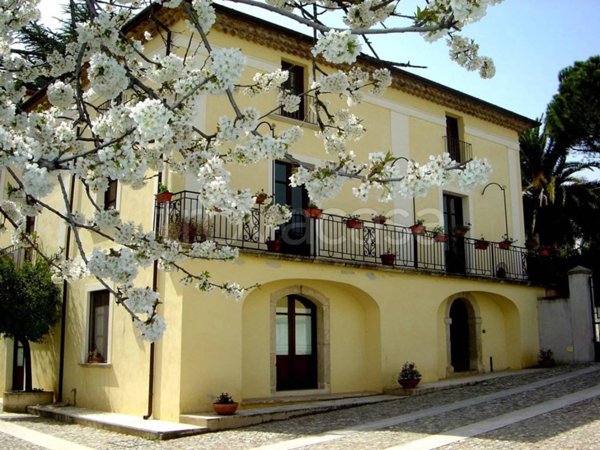 immagine annuncio 0 di 15