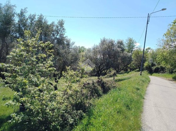 terreno agricolo in vendita a Marano Marchesato