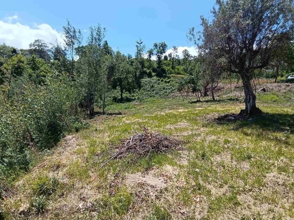 terreno agricolo in vendita a Marano Marchesato
