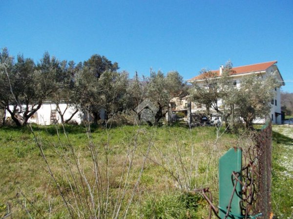 terreno agricolo in vendita a Marano Principato in zona Bisciglietto