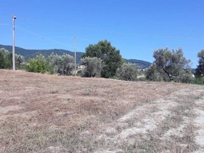 terreno agricolo in vendita a Marano Principato in zona Bisciglietto