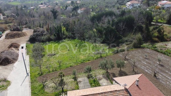 terreno agricolo in vendita a Marano Principato
