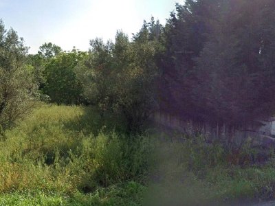 terreno agricolo in vendita a Marano Principato