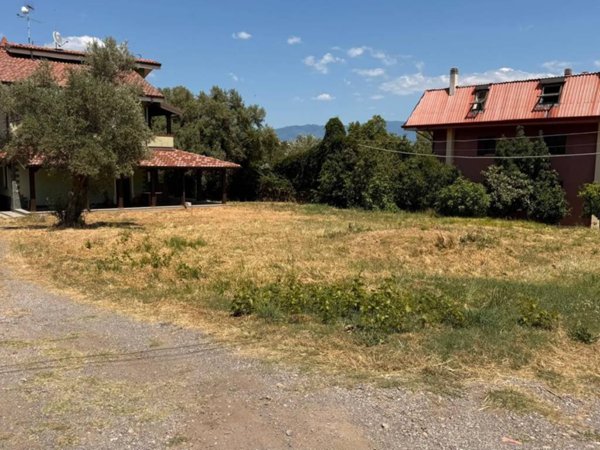 terreno agricolo in vendita a Marano Principato in zona Bisciglietto