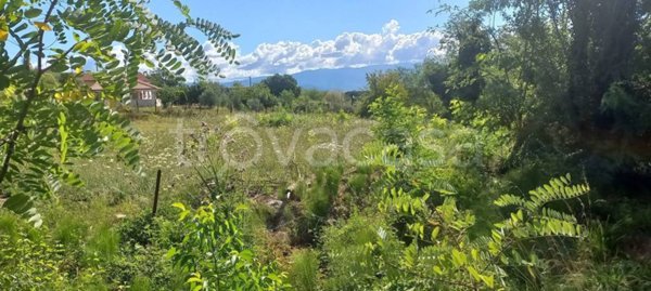 terreno agricolo in vendita a Marano Principato