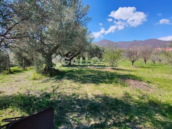 terreno edificabile in vendita a Marano Principato