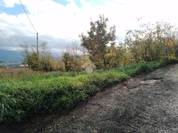 terreno agricolo in vendita a Marano Principato in zona Pantusa