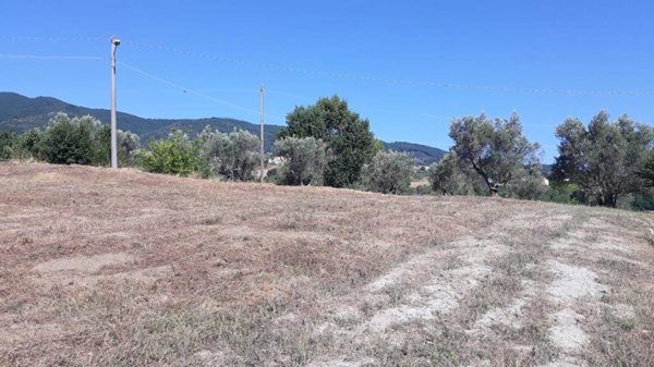 terreno agricolo in vendita a Marano Principato in zona Bisciglietto
