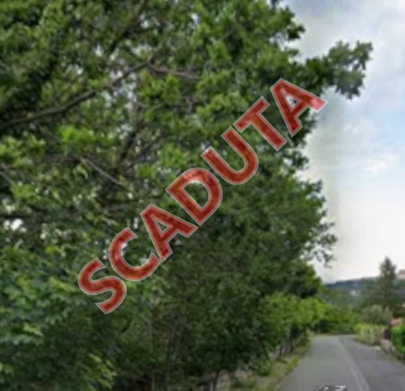 terreno agricolo in vendita a Marano Principato