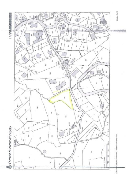 terreno agricolo in vendita a Marano Principato